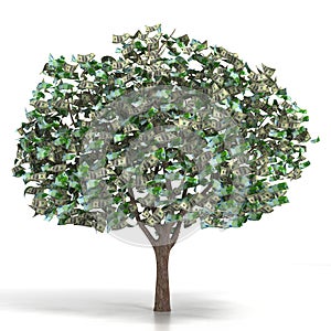 Money growing on a tree