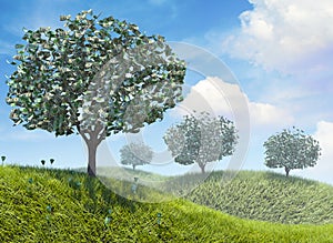 Money growing on trees