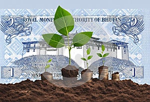 Money Growth concept, business success finance Bhutan one Ngultrum Banknote