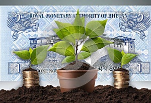 Money Growth concept, business success finance Bhutan one Ngultrum Banknote Dharmachakra between two dragons