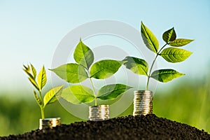 Money growth concept