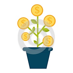 Money growth concept with dollar coins blooming on plant. Financial success and investment. Income increase, economic