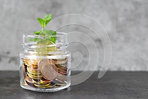 Money Growth And Invest Savings