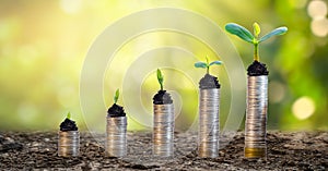 Money growth Saving money. Upper tree coins to shown concept of growing business
