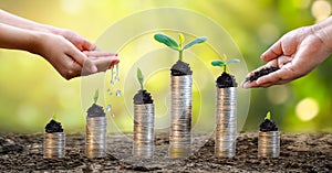Money growth Saving money. Upper tree coins to shown concept of growing business photo