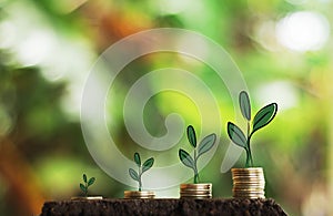 Money growth in soil and tree concept, business success finance