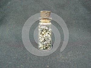 Money in a Jar with a cork photo