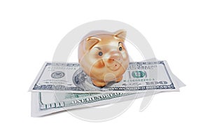 Money keeper asian pig