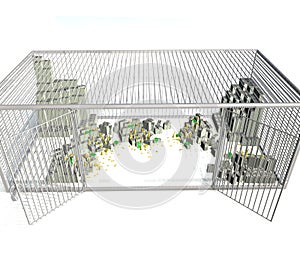 Money lying in a large cage