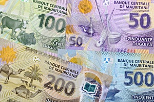 Money from Mauritania, a background