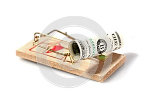 Money on mouse trap photo
