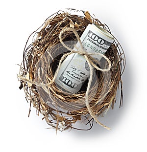 Money Nest Dollars