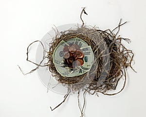 Money nest egg saving for future, investment concept.