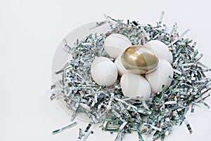 Money Nest with Golden Egg