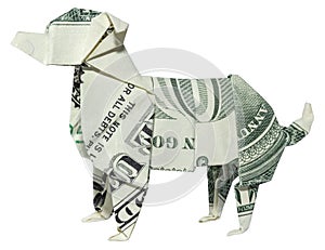 Money Origami Australian Shepherd Dog Folded with Real One Dollar Bill Isolated on White Background