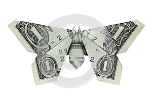 Money Origami Gray BUTTERFLY Folded with Real One Dollar Bill Isolated on White Background