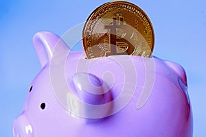 Money piggy bank and bitcoin as an abstract symbol of digital currency and Internet banking