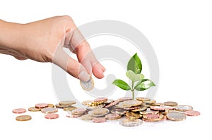 Money and plant with hand finance new business