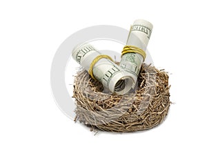 Money rolls in nest on white