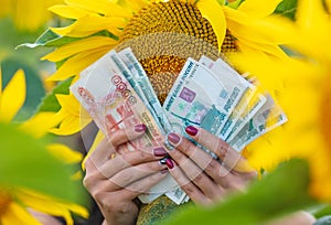 Money rubles in the hands of a girl in a field with sunflowers