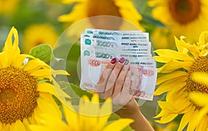 Money rubles in the hands of a girl in a field with sunflowers