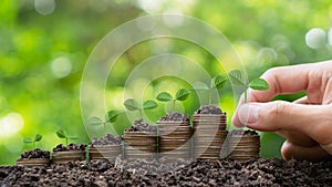 Money-saving,Growing Money,Finance And Investment concept.Hand putting plants growing up on stack coins.Business growth,
