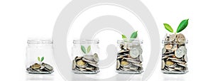 Money saving growth concepts, glass jar with coins and plants growing, isolated on white background