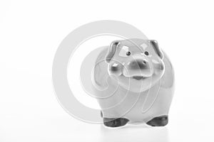 Money saving. income management. financial problem. planning budget. piggy bank isolated on white. copy space. Piggybank