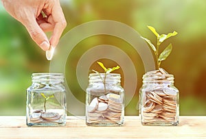 Money savings, investment, making money for future, financial wealth management concept photo
