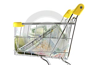 Money in shopping cart on side view