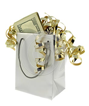 Money in Silver Gift Bag