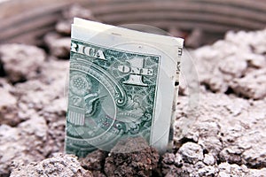 Money in soil