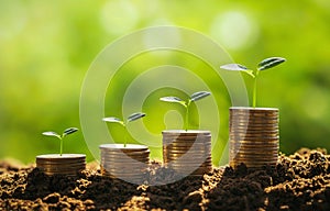 money stack with small tree growing stept. concept finance and accounting