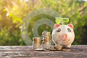 Money stack step growing money and piggy bank, Concept finance b