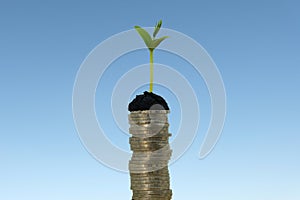 money stack step up growing growth saving money, While seedlings are growing on pile of coins. ideas about saving money for future