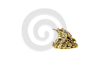 Money toad sign of wealth on a white background