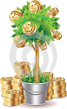 Money tree