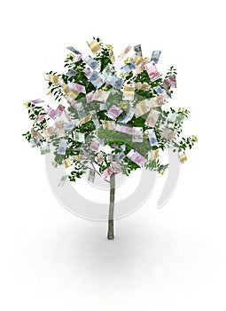 Money tree