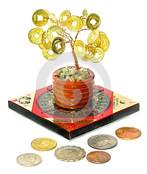 Money Tree