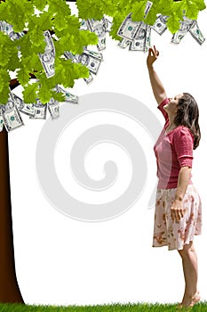 Dinero un árbol 