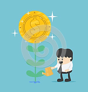 Money tree, businessman watering a money plant growing