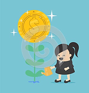 Money tree, Businesswoman watering a money plant growing