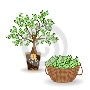 Money tree with a coin root. Green cash banknotes tree in ceramic pot and money basket. Business and investment harvest