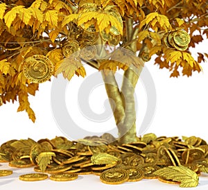 Money tree with coin's on isolate white background close up