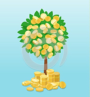 Money tree with coins growing