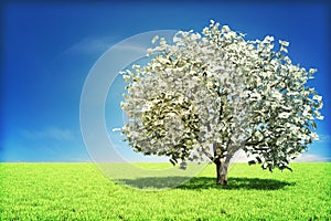 Money tree concept