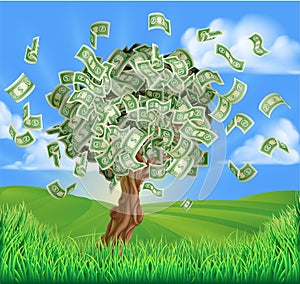 Money Tree Concept