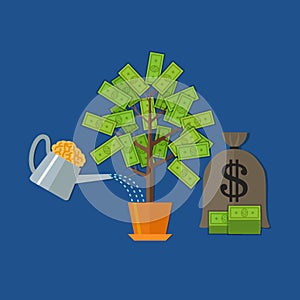 Money tree concept