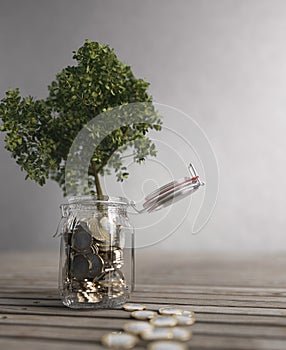 Money tree concept from savings 3d render