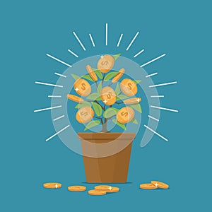 Money tree. Design concept growth money and business investment.